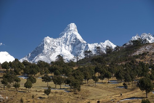 Camp de base de l'Everest Trek